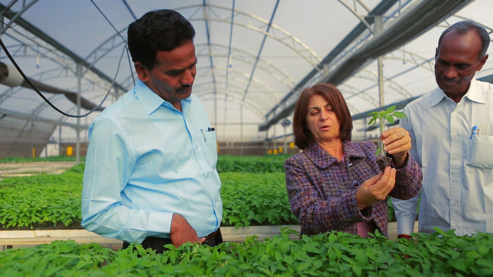 भारत के किसानों को हायटेक खेती की राह दिखाता इजराईल